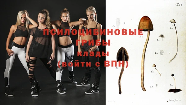 герыч Богородск