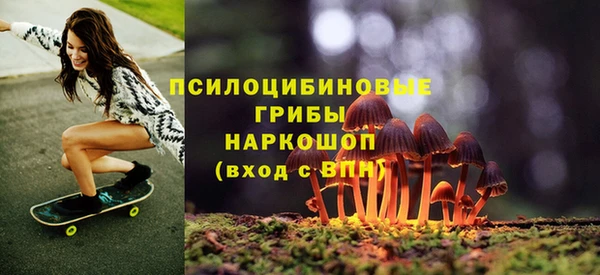 кристаллы Богданович